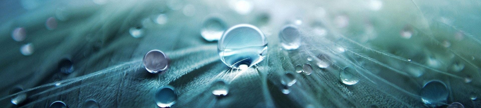 pexels-pixabay-268819 (2)